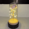 Rosa Encantada Com Led